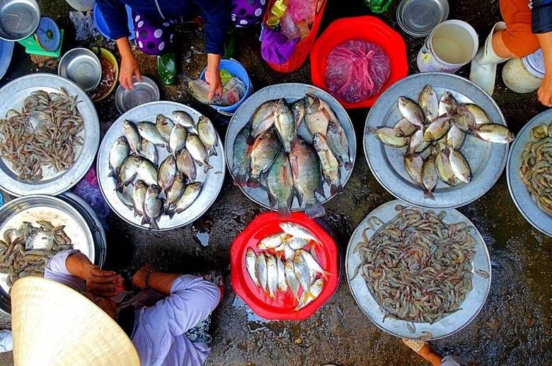 Đầm Chuồn xứ Huế: Tìm về nét ban sơ chốn cố đô - Vivu