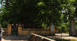http://hue.darkvn.net/wp-content/uploads/2019/07/120130472-300x160.jpg