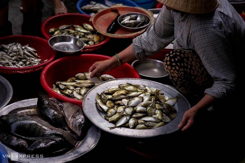 Hương sắc Đầm Chuồn ở cố đô Huế